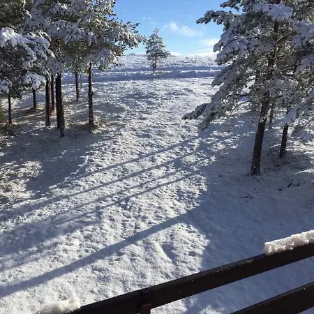 Ng Tornik Zlatibor