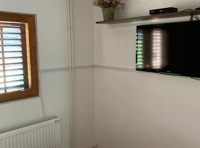 Ng Tornik * 兹拉蒂博尔