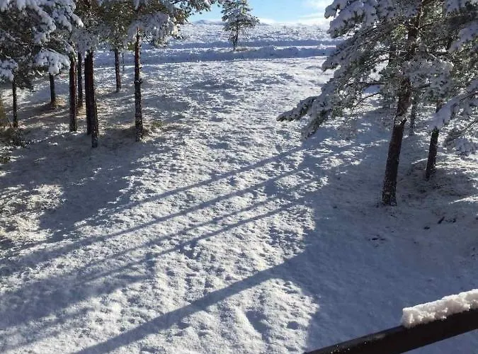 Ng Tornik 兹拉蒂博尔