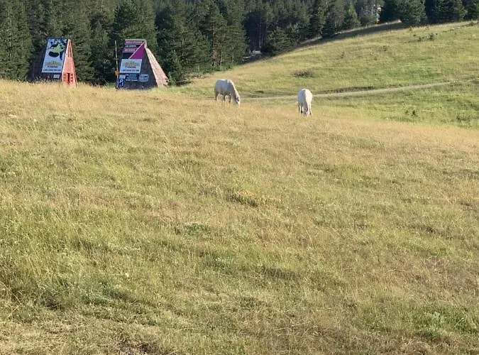 公寓 Ng Tornik 兹拉蒂博尔