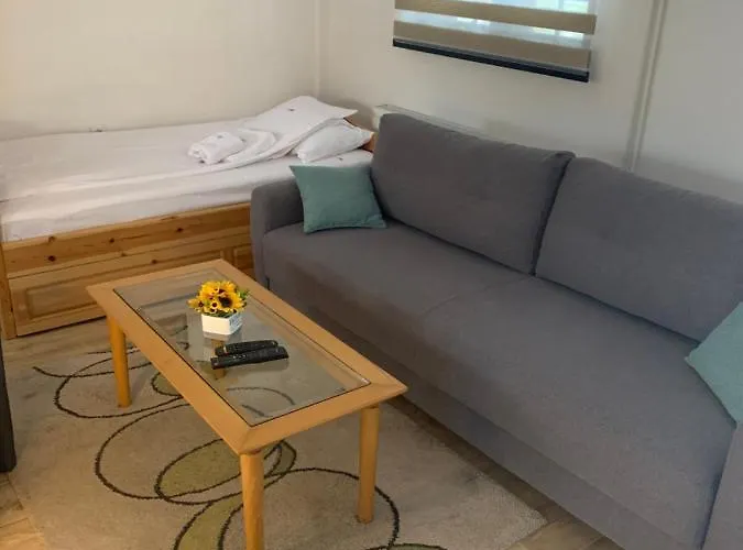 Ng Tornik * 兹拉蒂博尔